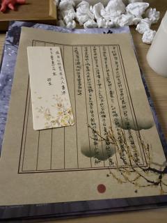 【含剧透】《将雪》 ——我恨这凡尘千般万般，都不如你般，令我