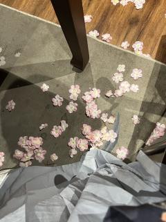 【含剧透】

        这次的伯符真的叼着狗尾巴草从天