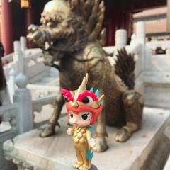 拍摄工具都是手机，苹果7/11
会用美图或者vsco加滤镜，