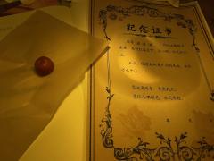 红莓花下
dm：小空
体验角色：苏鸿雪

强烈推荐打完1再打