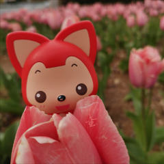 和狸🦊 在一起的时光～我们看花🌸 ，看海🏝 ，看许多的