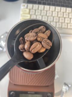 产区：耶加雪菲 konga
品种：heirloom
处理法：