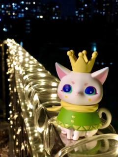 猫咪在我家空中花园臭美一下😍🥰