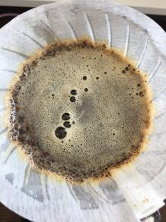 共生咖啡—肯尼亚
小红书白嫖来的豆子,上海的老板,出手有点