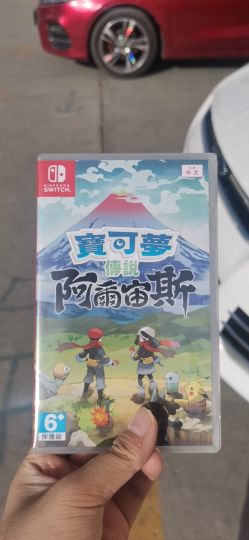 抓宝可梦，一抓一天。