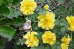 带娃出游
直接把娃摔了🤣