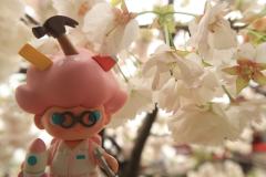 春日游 杨花飞絮缀满头🌸🌸🌸