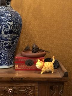 🐈一只🐾喜欢🐾到处溜达🐾的喵星人🐾🐾🐾🐾