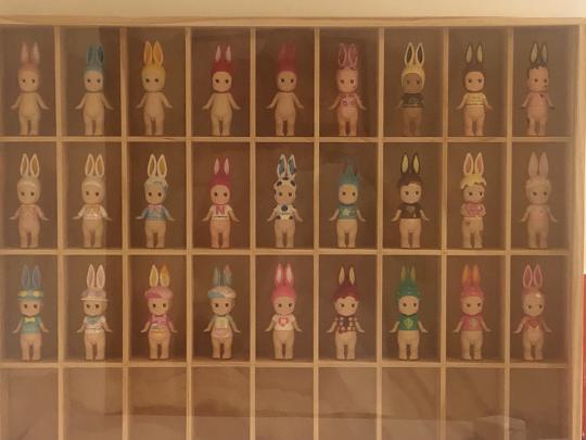 漫长艰难的集兔之路！