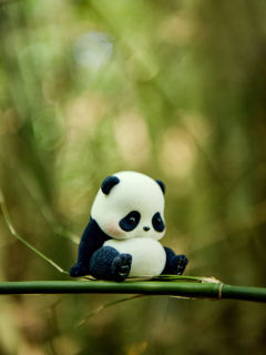 熊猫滚滚🐼Panda Roll🎋大肚腩🐼

这不是肚肚