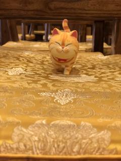 🐈一只🐾喜欢🐾到处溜达🐾的喵星人🐾🐾🐾🐾