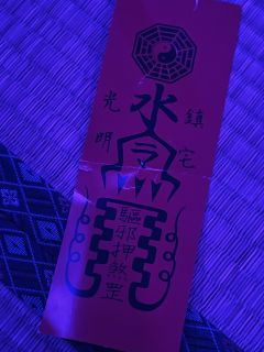 雪姑❄️会叫麻麻的小猫咪🐱谁能不爱呢?❤️日系治愈微恐还原