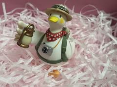 侄女从小喜欢小鸭子，从小到大各种各样的小鸭子玩偶都送了好多，