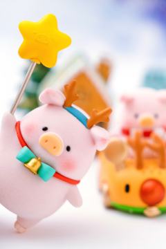 这个圣诞拍了好多娃~把最爱的三只猪都拍到了！也算圆满！