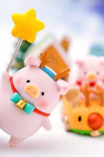 这个圣诞拍了好多娃~把最爱的三只猪都拍到了！也算圆满！