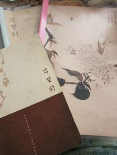 【含剧透】
从去年底就一直期待《红豆》,这次在沉谜打了12个