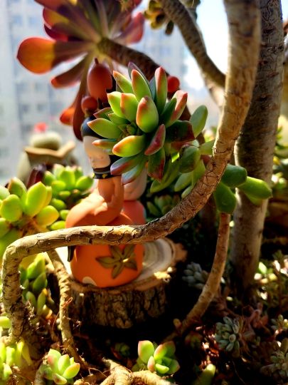 神秘而美好的时间~往往就在那一刹那……