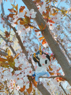 樱花独角兽和春花最配哦！带上你的独角兽，寻找春天的芬芳吧！
