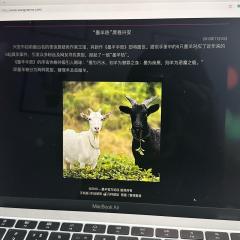 这只墨羊是恶魔羊还是替罪羊呢,当墨为污水则羊为替罪之身,当墨
