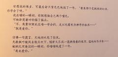 “此生唯一学会的,足以化腐析为神奇的秘术就是爱你。”
角色