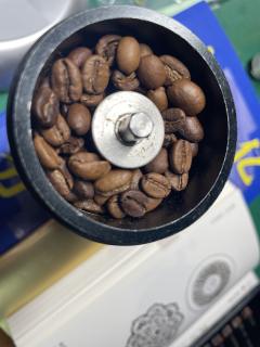 拯救陈豆计划——冷萃它，万万没想到这个之前踩雷的豆子可以在冰