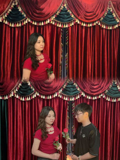 不可多得的现代浪漫纯爱本，作为一个盒装本，文笔浪漫故事精彩纯