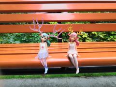 明月清风，欲晚的天色，寂静的朝阳，和整日令人困倦的暖意，这所