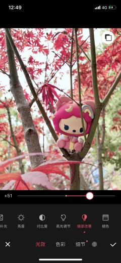 枫树上的彩虹桃
先将阿狸摆放上树(这一点其实比较随机,找一个