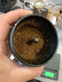 滤杯：V60
研磨度：EK43/10刻度
水温：90
重量：
