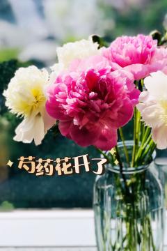 芍药花开了【含剧透】
剧本名称:聊斋异世录
剧本配置:3男