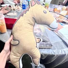 《山岗上的长风》-6.5h

dm&npc：
陈安华（d