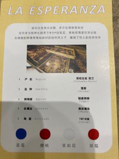 希望庄园的一只蜜处理瑰夏
从高温到低温酸质非常的明亮上扬，整