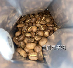 豆子：Beanice coffee，埃塞 西达摩水洗G1 圣