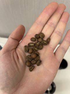 之前买的一只芦田家的coe竞标瑰夏
用新到的玲珑r2测一测
