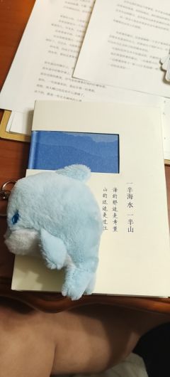 【含剧透】
山有顶峰，海有彼岸。世上一切的苦难终会有回甘。
