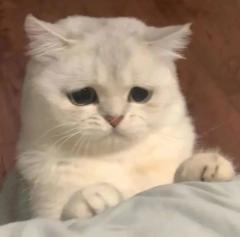 【含剧透】
”望望山水 人去去 隐隐迢迢”
”谁还管 生生世