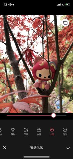 枫树上的彩虹桃
先将阿狸摆放上树(这一点其实比较随机,找一个