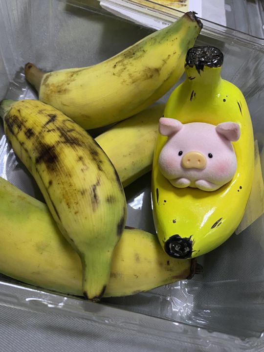帖子封面图
