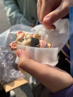 蹲到了掉落好开心🥳
太好看了