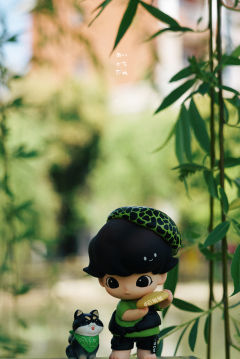 带着我的小绿马dimoo 去踏青啦