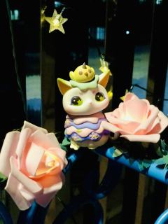 猫咪在我家空中花园臭美一下😍🥰