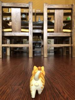 🐈一只🐾喜欢🐾到处溜达🐾的喵星人🐾🐾🐾🐾