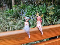 明月清风，欲晚的天色，寂静的朝阳，和整日令人困倦的暖意，这所