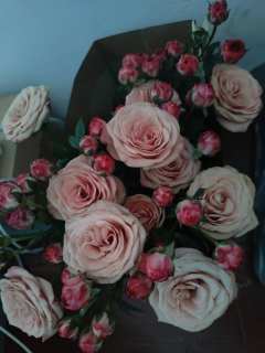 【含剧透】
好哭,但是低于预期
沈倦♂❤️林漫♀
陈澈♂❤