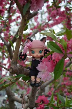 带娃出游
直接把娃摔了🤣