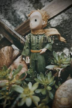 小王子 Le Petit Prince