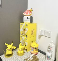 皮卡丘～哈利波特！耶✌️
