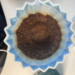 一直听藏哥夸赞粉波旁，但是一直养豆没开冲。这支很棒，在冲煮的