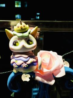 猫咪在我家空中花园臭美一下😍🥰