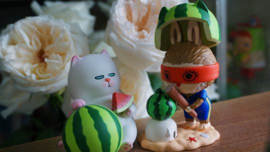 hhhh打🍉还抢别人帽子